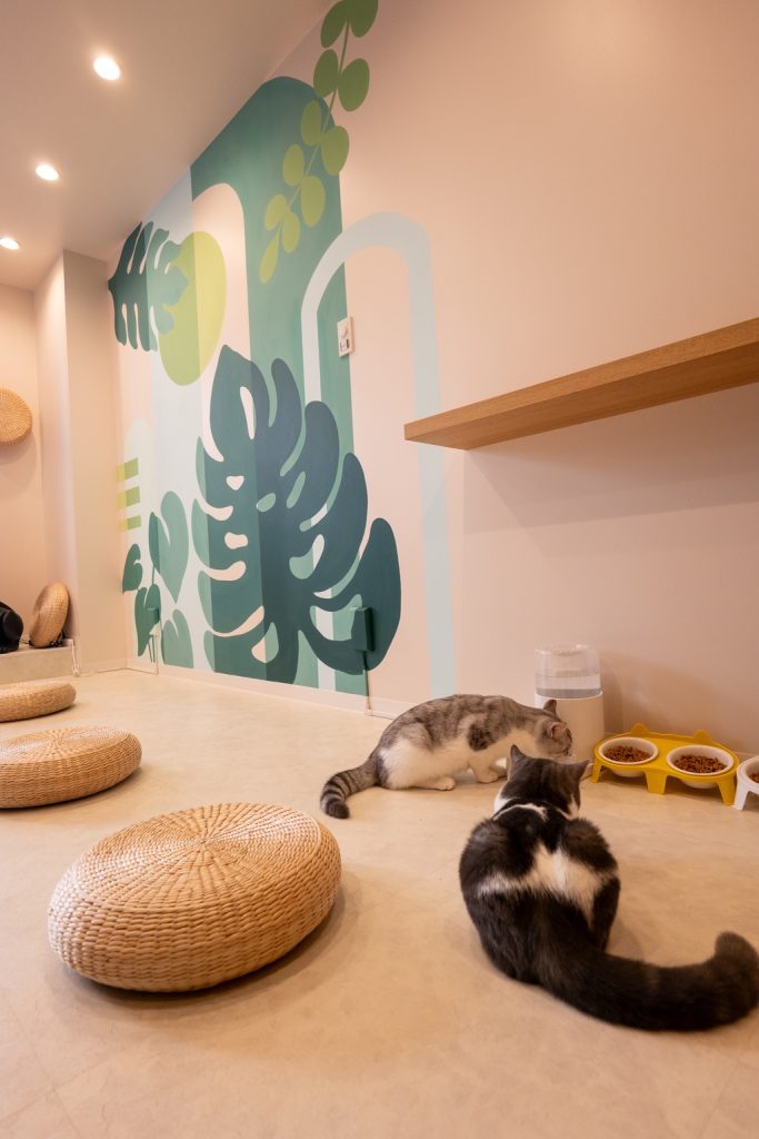 代官山・猫カフェ店内壁画制作